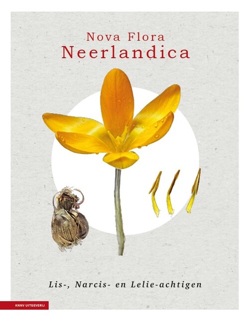 Nova Flora Neerlandica deel 3 - Lis-, Narcis- en Lelie-achtigen -  Joop Schaminée (ISBN: 9789465420011)