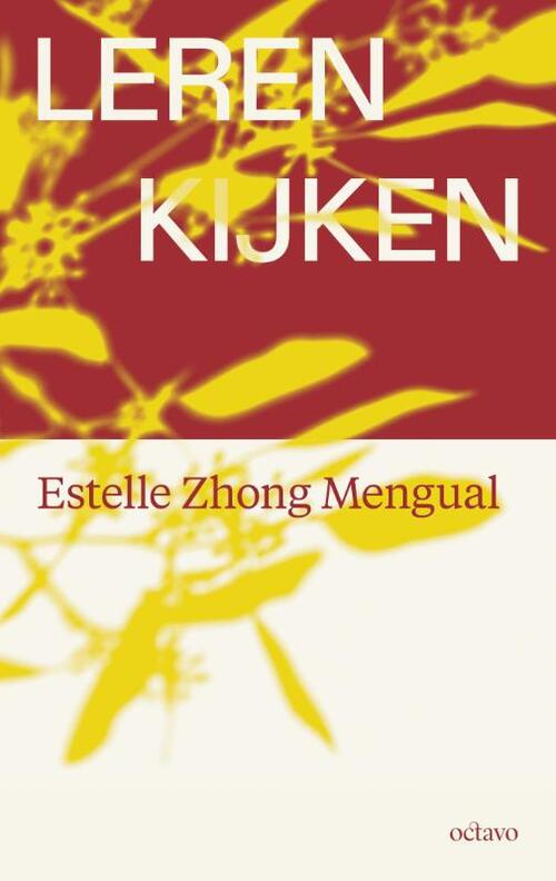 Leren kijken -  Estelle Zhong Mengual (ISBN: 9789490334406)