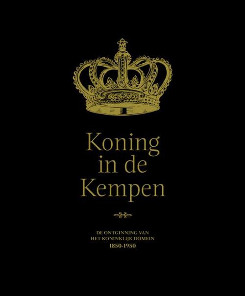Koning in de Kempen -  Danny van der Veken (ISBN: 9789491789366)