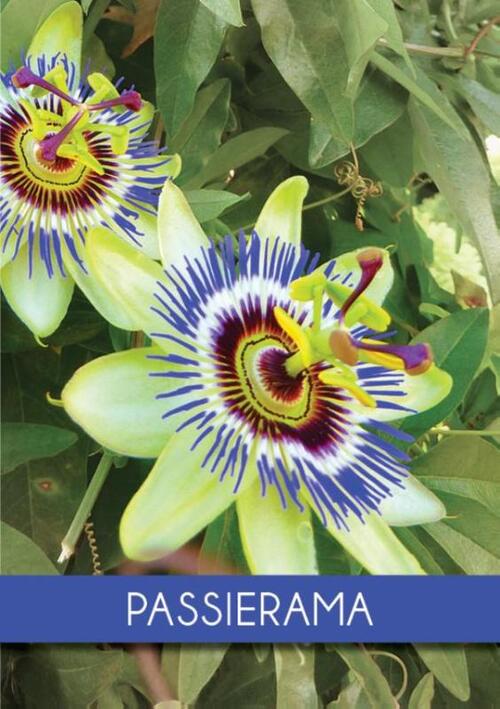 Passierama -   (ISBN: 9789492212184)