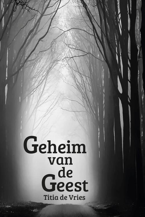 Geheim van de Geest -  Titia de Vries (ISBN: 9789493210141)
