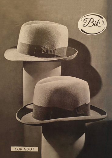 Bik -  Cor Gout (ISBN: 9789493214217)