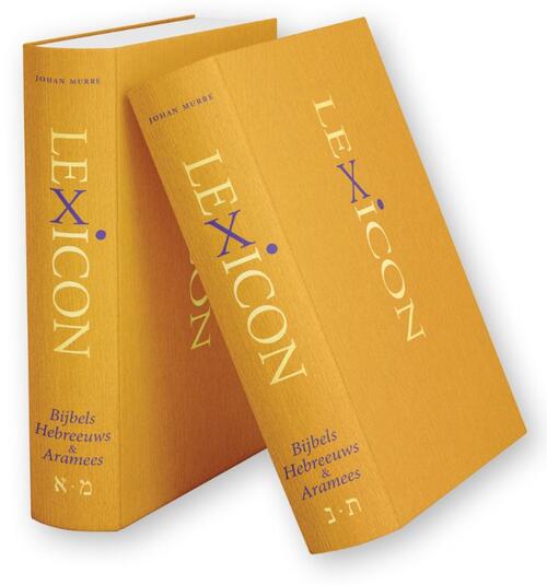 Lexicon Bijbels Hebreeuws (2-delig) -  Johan Murre (ISBN: 9789493220560)