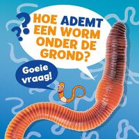 Hoe ademt een worm onder de grond?