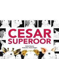 Cesar superoor